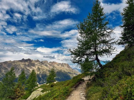 Grand Balcon Vista : Chemin du sentier de montagne de Chamonix, France