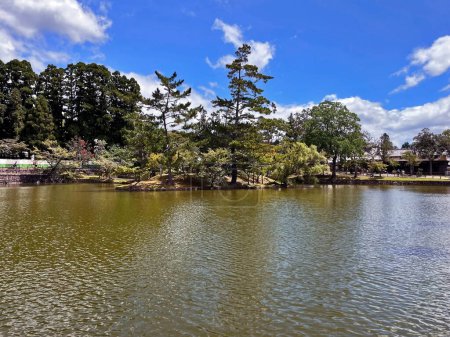 Foto de Abrazo de la naturaleza: Santuario del Templo de Nara y hermoso jardín, Kyoto, Japón - Imagen libre de derechos