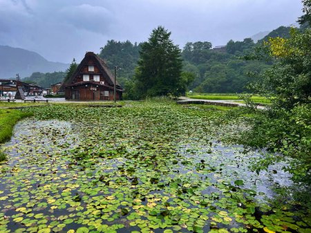 Harmonie der Jahreszeiten: Landliche Schönheit in Shirakawa Go, Japan