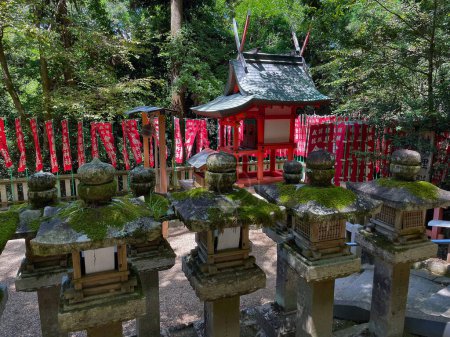 Das Erbe der Natur: Nara Tempelanlage mit bezauberndem japanischen Garten, Kyoto, Japan