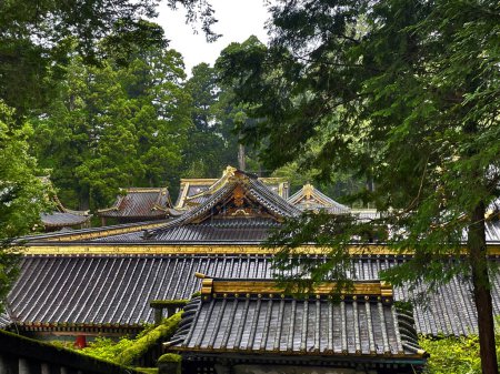 Kulturelle Schätze: Blick auf das Dach des Nikko-Tempels in Wald, Präfektur Tochigi, Japan