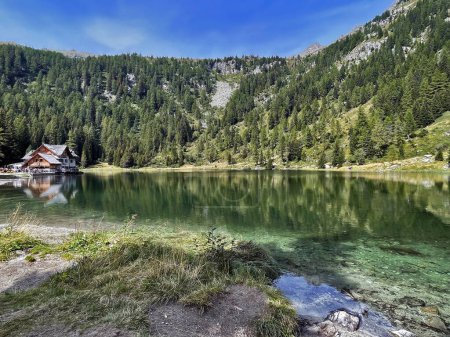 Oasis alpine : Au bord du lac tranquille à Cinque Laghi, Madonna Di Campiglio, Adamello Brenta