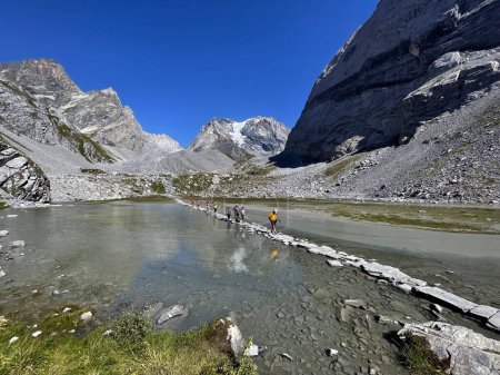 Tranquilidad alpina: Lago Glaciar Panorama en el Parque Nacional Vanoise, Altos Alpes, Lac des vaches, Francia