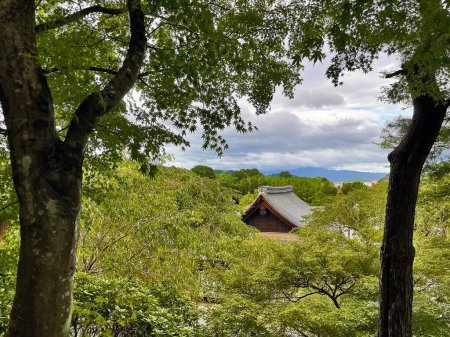 Tranquille forêt temples : sanctuaires spirituels de Gion, Kyoto, Japon