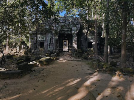 Lost in Nature: Exploring Ta Nei Temple's Verdant Surroundings, Angkor Wat, Siem Reap, Cambodia