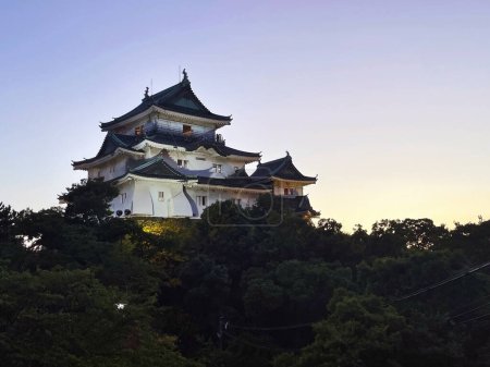 Château de Wakayama : un point de repère précieux du Japon, Wakayama, Japon