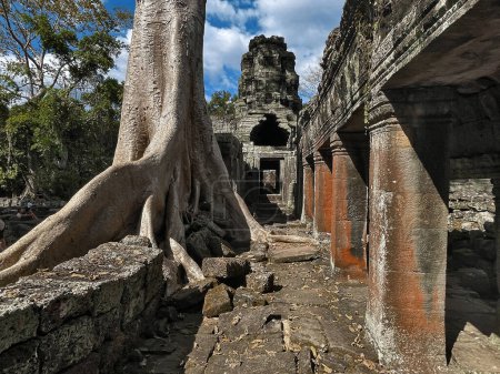 Reise durch Banteay Kdei Heilige Bäume und Böden in Angkor Wat, Siem Reap, Kambodscha