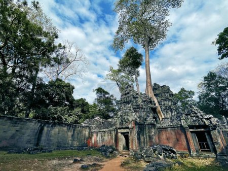 Photo for Adventures at Ta Prohm Temple: Exploring Ancient Ruins Amidst Towering Trees in Angkor Wat, Siem Reap, Cambodia - Royalty Free Image