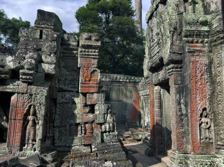 Viaje a través de Ta Prohm: Explorando Camboya Enigmáticas tallas en Angkor Wat, Siem Reap, Camboya
