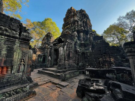 Abenteuer im Tempel Ta Prohm: Erkunden Sie antike Ruinen inmitten hoher Bäume in Angkor Wat, Siem Reap, Kambodscha