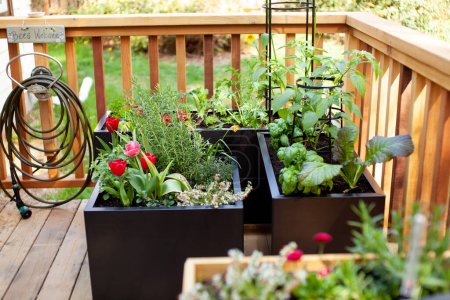 Schwarze Pflanzkästen aus Metall sehen auf einem Holzdeck oder einer Terrasse gut aus. Blumen, Kräuter und Gemüse direkt vor der Haustür anbauen!