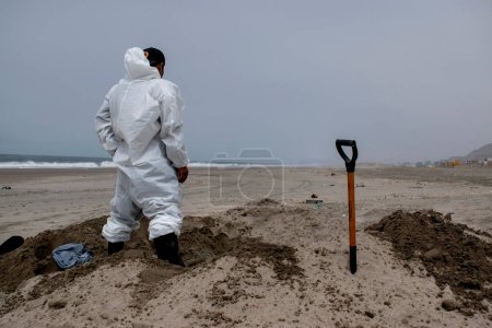 Photo for The outbreak of avian influenza in Lima. December 6, 2022, Lima, Peru: The Mayor of the District of Miraflores (Lima), Luis Molina Arles, announced as of today the restriction of bathers' access to the eight beaches in the district - Royalty Free Image