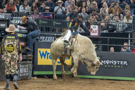 Téléchargez les photos : 2023 Professional Bull Riders Unleash The Beast At The Garden. January 06, 2023, New York, New York, USA: Eli Vastbinder rides Smooth Kat during the Professional Bull Riders 2023 Unleash The Beast event at Madison Square Garden - en image libre de droit