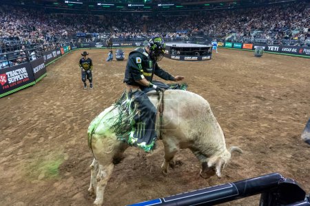 Photo for 2023 Professional Bull Riders Unleash The Beast At The Garden. January 07, 2023, New York, New York, USA: Kaique Pacheco rides Smooth Kat during second round of the Professional Bull Riders 2023 Unleash The Beast event at Madison Square Garden - Royalty Free Image