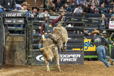 Téléchargez les photos : 2023 Professional Bull Riders Unleash The Beast At The Garden. January 08, 2023, New York, New York, USA: Marcelo Procopio Pereira rides Pickle Moonshine during third round of the Professional Bull Riders 2023 Unleash The Beast event - en image libre de droit