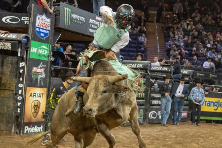 Photo for 2023 Professional Bull Riders Unleash The Beast At The Garden. January 08, 2023, New York, New York, USA: Thiago Salgado rides Razzmatazz during third round of the Professional Bull Riders 2023 Unleash The Beast event at Madison Square Garden - Royalty Free Image