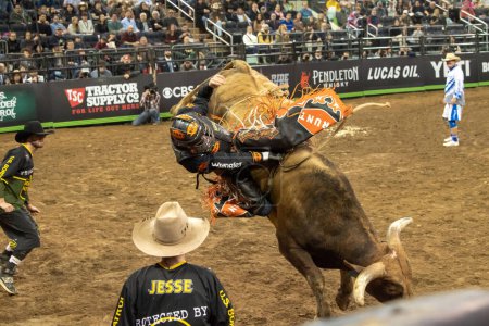 Téléchargez les photos : 2023 Professional Bull Riders Unleash The Beast At The Garden. January 08, 2023, New York, New York, USA: Casey Roberts rides Dan Post's Night Moves during third round of the Professional Bull Riders 2023 Unleash The Beast event - en image libre de droit