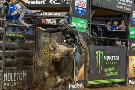 Téléchargez les photos : 2023 Professional Bull Riders Unleash The Beast At The Garden. January 08, 2023, New York, New York, USA: Dener Barbosa rides Calico Kicking during third round of the Professional Bull Riders 2023 Unleash The Beast event at Madison Square Garden - en image libre de droit