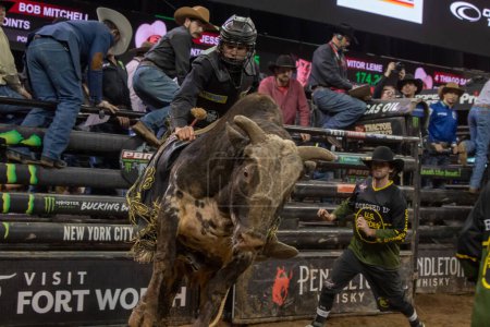 Téléchargez les photos : 2023 Professional Bull Riders Unleash The Beast At The Garden. January 08, 2023, New York, New York, USA: Dener Barbosa rides Calico Kicking during third round of the Professional Bull Riders 2023 Unleash The Beast event - en image libre de droit