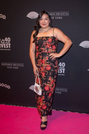 Photo for City Harvest Presents The 40th Anniversary Gala: House Of Harvest. April 25, 2023, New York, New York, USA: Dara Yu attends as City Harvest Presents The 40th Anniversary Gala: House Of Harvest at Cipriani 42nd Street on April 25, 2023 - Royalty Free Image
