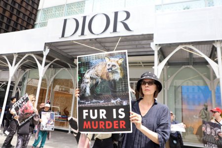 Foto de Protesta contra la venta de pieles en la tienda Dior. 13 de mayo de 2023, Nueva York, Estados Unidos: Un grupo de ambientalistas protesta contra la venta de pieles frente a la tienda Dior en la calle 49 con la 5ª Avenida, en Nueva York. - Imagen libre de derechos
