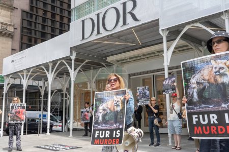 Photo for Anti-Fur Protest. May 13, 2023, New York, New York, USA: Animal Rights protesters holding signs during a protest in front of the Louis Vuitton store on Fifth Avenue during an Anti-Fur Protest on May 13, 2023 in New York City. - Royalty Free Image