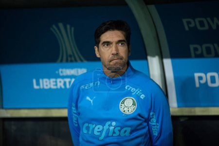 Photo for Sao Paulo (SP), 06/07/2023 - LIBERTADORES/PALMEIRAS X BARCELONA (EQU) - Abel Ferreira in a match between Palmeiras and Barcelona, valid for the 5th round of the group stage of the Copa Conmebol Libertadores 2023, held at Allianz Parque - Royalty Free Image