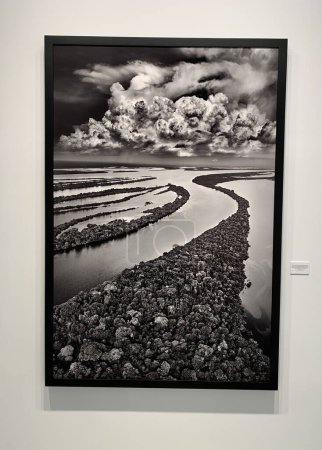 Photo for Sebastiao Salgado Amazonia Photo Exhibition in New York. June 22, New York, USA: Brazilian famous photographer, Sebastiao Salgados pictures are being exhibited at Sundaram Tagore Gallery in Manhattan-New York from June 15 to July 15 - Royalty Free Image