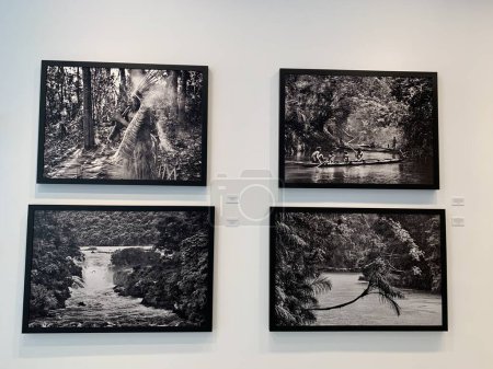 Foto de Sebastiao Salgado Amazonia Exposición Fotográfica en Nueva York. 22 de junio, Nueva York, EE.UU.: El famoso fotógrafo brasileño Sebastiao Salgados fotos están siendo exhibidas en la Galería Sundaram Tagore en Manhattan-Nueva York del 15 de junio al 15 de julio - Imagen libre de derechos
