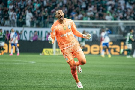 Photo for Sao Paulo (SP), Brazil 07/22/2023 - Weverton celebrates the goal scored by Raphael Veiga in a match between Palmeiras and Fortaleza, valid for round 16 of the 2023 Brazilian Football Championship, held at Allianz Parque - Royalty Free Image