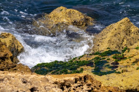 Téléchargez les photos : La vie quotidienne en Israël été 2023. 21 juillet 2023, Tel Aviv, Israël : Des algues poussent sur les rochers du brise-vagues à la plage de Tel Baruch le 21 juillet 2023 à Tel Aviv, Israël. - en image libre de droit