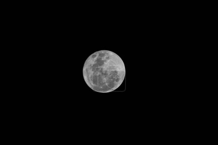 Photo for Super Moon Seen in Sao Paulo. August 01, 2023, Sao Paulo, Brazil: Super Moon seen from the south zone of Sao Paulo on Tuesday night (01). - Royalty Free Image