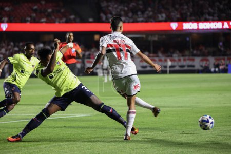 Photo for SAO PAULO (SP), 08/31/2023 - Nestor from Sao Paulo in a match between Sao Paulo (BRA) against LDU Quito (ECU), in the second leg of the 2023 Copa Sudamericana Quarter Finals - Royalty Free Image