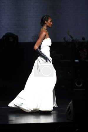 Photo for NYFW: Megan/Renee Parade At HFR 16th Annual Fashion Show & Style Awards. September 05, 2023, Harlem, New York, USA: Megan/Renee Parade during the HFR 16th Annual Fashion Show & Style Awards during NYFW taking place at Apollo Theater in Harlem. - Royalty Free Image