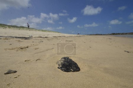Photo for NATAL (RN), Brazil 09/24/2023 - Oil stains are found on Camurupim beach, Nisia Floresta, on the south coast of RN. Researchers from the Costa Branca Cetacean Project collected samples to analyze the substance. - Royalty Free Image