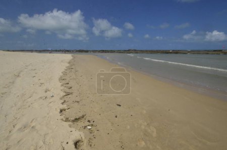 Foto de NATAL (RN), Brasil 24 / 09 / 2023 - Las manchas de petróleo se encuentran en la playa de Camurupim, Nisia Floresta, en la costa sur de RN. Investigadores del Proyecto Cetáceo Costa Branca recogieron muestras para analizar la sustancia. - Imagen libre de derechos
