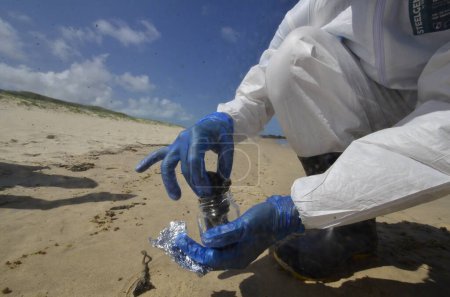Téléchargez les photos : NATAL (RN), Brésil 24 / 09 / 2023 - On trouve des taches de pétrole sur la plage de Camurupim, Nisia Floresta, sur la côte sud de RN. Des chercheurs du projet Costa Branca Cetacean ont prélevé des échantillons pour analyser la substance. - en image libre de droit