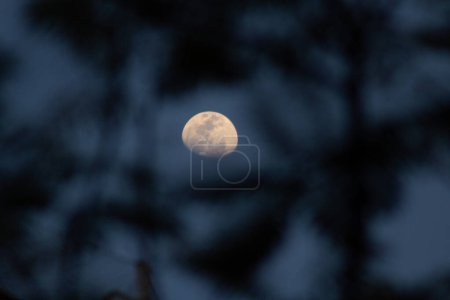 Foto de Río de Janeiro (RJ) Brasil 25 / 09 / 2023- LUNA - La luna de hoy es 80.11% visible y se encuentra en su cuarto trimestre. Quedan 4 días para la fase de Luna Llena. Luna de trimestre el lunes por la tarde (25) - Imagen libre de derechos