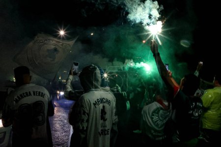 Foto de Sao Paulo (SP), 10 de octubre de 2023 - LIBERTADORES / PALMEIRAS de los aficionados al fútbol, celebrada en Allianz Parque, al oeste de Sao Paulo. - Imagen libre de derechos