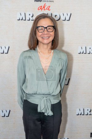 Photo for AKA MR. CHOW Film Premiere. October 12, 2023, New York, New York, USA: Diane Quon attends the aka MR. CHOW Film Premiere at The Museum of Modern Art on October 12, 2023 in New York City. - Royalty Free Image