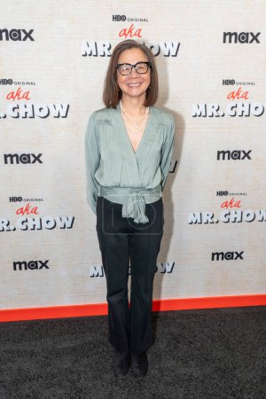 Photo for AKA MR. CHOW Film Premiere. October 12, 2023, New York, New York, USA: Diane Quon attends the aka MR. CHOW Film Premiere at The Museum of Modern Art on October 12, 2023 in New York City. - Royalty Free Image