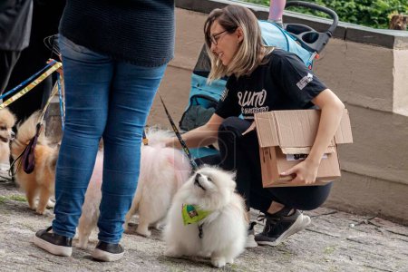 Téléchargez les photos : SAO PAULO (BRESIL), 02 / 11 / 2023 - Dans l'après-midi de ce jeudi (2 / 11), jour férié de la Toussaint, un groupe de partisans contre les abus des animaux se sont réunis pour réclamer justice pour la mort du chien Fox - en image libre de droit