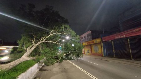 Foto de SAO PAULO, Brasil - 11 / 03 / 2023: Los árboles caídos en el corredor central de la Avenida M Boi Mirim en la región de Piraporinha, Sao Paulo y los semáforos están apagados. - Imagen libre de derechos