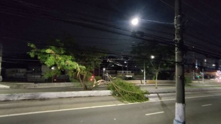 Photo for SAO PAULO, Brazil - 11/03/2023: Fallen trees in the central corridor of Avenida M Boi Mirim in the Piraporinha region, Sao Paulo and traffic lights are out. - Royalty Free Image