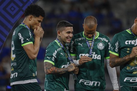 Foto de Belo Horizonte (MG), Brasil 12 / 06 / 2023 - Palmeiras celebra el 12º título con DodecaCampeao en un partido entre Cruzeiro contra Palmeiras que termina con un marcador de 1 x 1, válido para la 38ª ronda - Imagen libre de derechos
