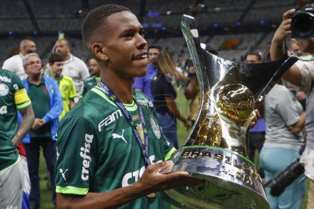 Photo for Belo Horizonte (MG), Brazil 12/06/2023 -  Palmeiras celebrates the 12th Title with DodecaCampeao in a match between Cruzeiro against Palmeiras that ends with a score of 1 x 1, valid for the 38th round - Royalty Free Image