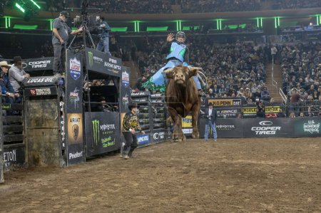 Photo for 2024 Professional Bull Riders At The Garden. January 6, 2024, New York, New York, USA: Alex Cerqueira rides First Infraction during second round of the Professional Bull Riders 2024 Unleash The Beast event at Madison Square Garden - Royalty Free Image
