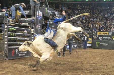 Photo for 2024 Professional Bull Riders At The Garden. January 6, 2024, New York, New York, USA: Mason Taylor rides Sugar Smack during second round of the Professional Bull Riders 2024 Unleash The Beast event at Madison Square Garden on January 6, 2024 - Royalty Free Image