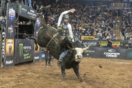 Photo for 2024 Professional Bull Riders At The Garden. January 6, 2024, New York, New York, USA: Dalton Kasel rides Wooderson during second round of the Professional Bull Riders 2024 Unleash The Beast event at Madison Square Garden on January 6, 2024 - Royalty Free Image