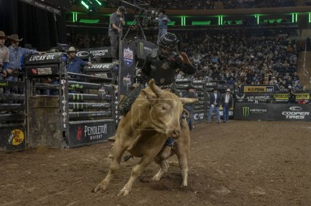 Photo for 2024 Professional Bull Riders At The Garden. January 6, 2024, New York, New York, USA: Guilherme Valleiras rides The Fray during second round of the Professional Bull Riders 2024 Unleash The Beast event at Madison Square Garden - Royalty Free Image
